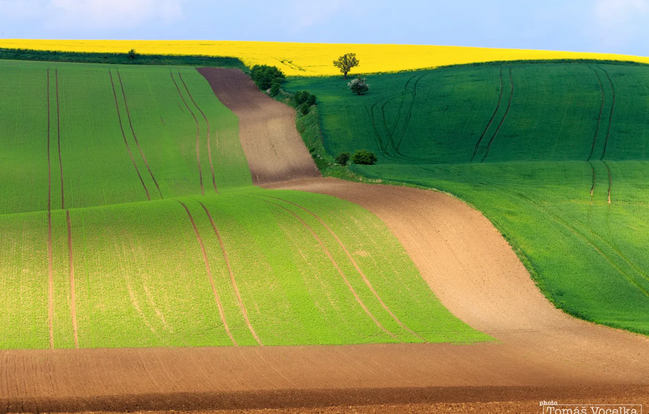Photo wallpaper field, the sky, spring, Czech Republic, South Moravian region