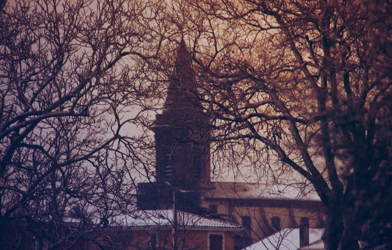 Photo wallpaper tower, winter, branches, church