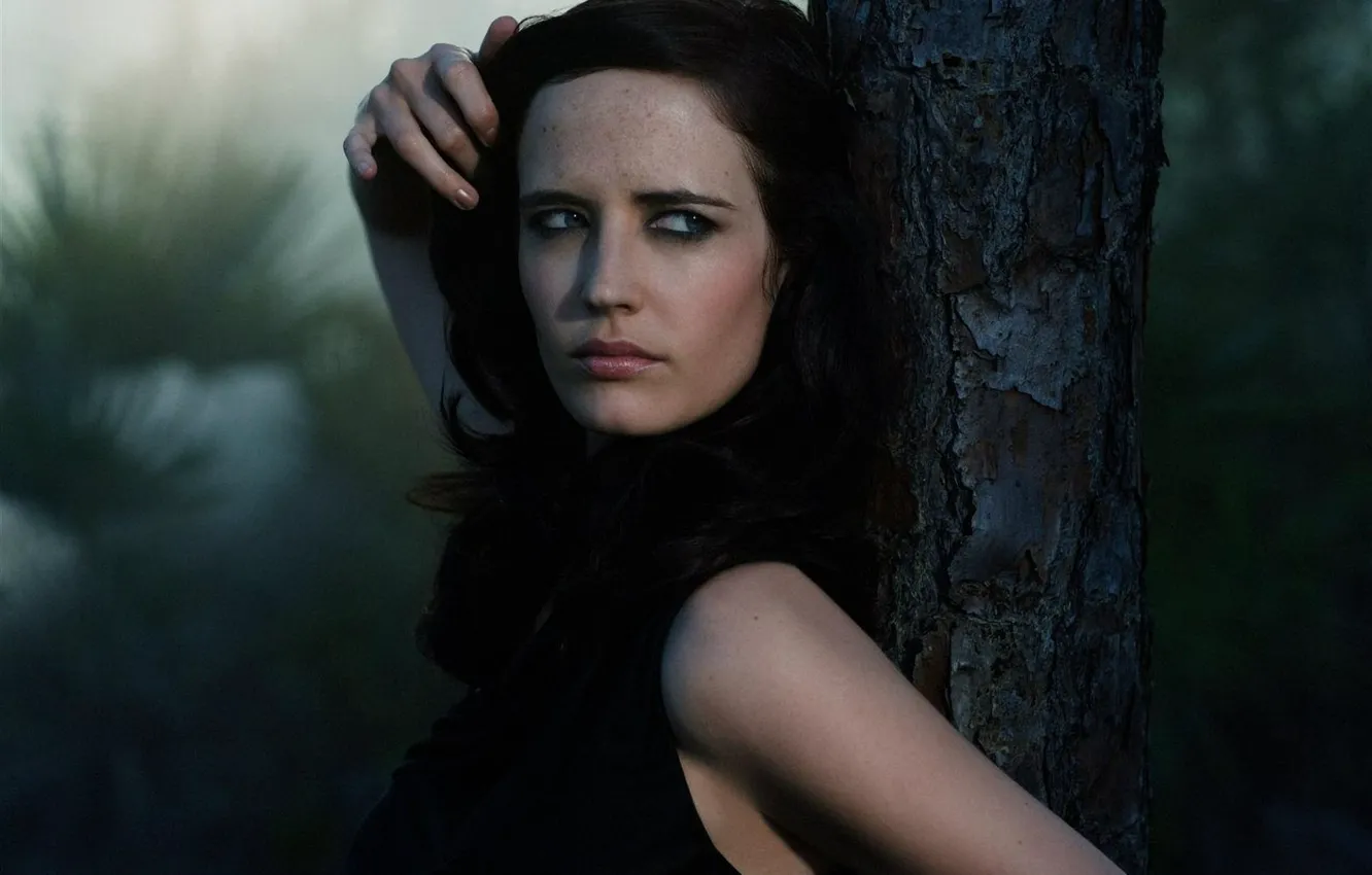 Photo wallpaper forest, trees, nature, photo, 2006, Eva, Germany, celebrity