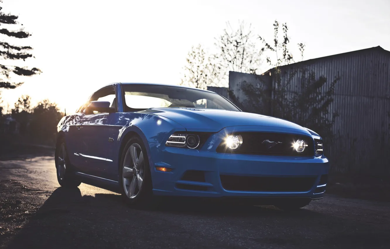 Photo wallpaper Mustang, Ford, Ford, Muscle, Mustang, Car, Blue, 5.0