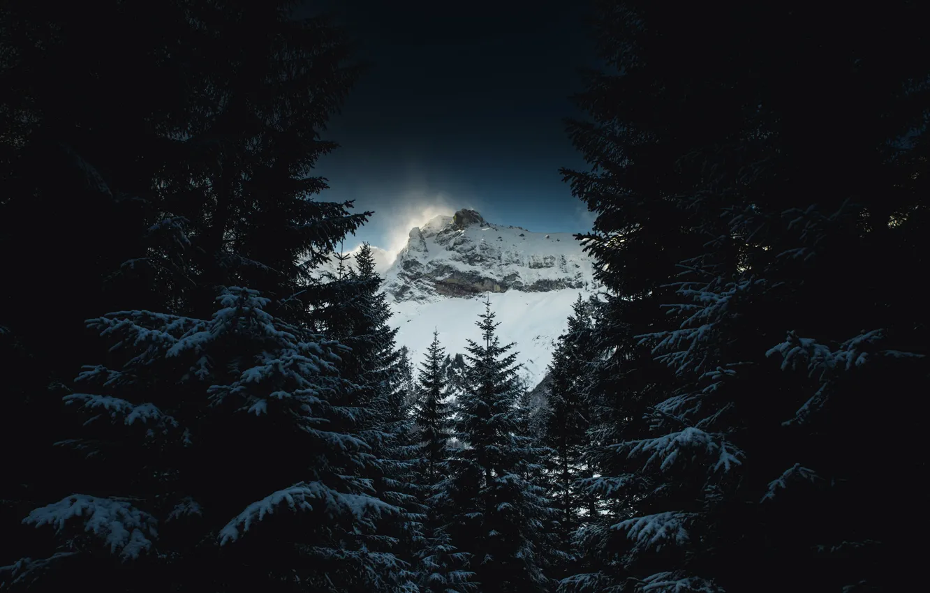 Photo wallpaper winter, forest, mountain