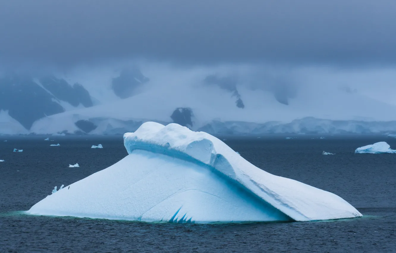 Photo wallpaper misty, sea, mountain, snow, seagull, foggy, iceberg, ice floes