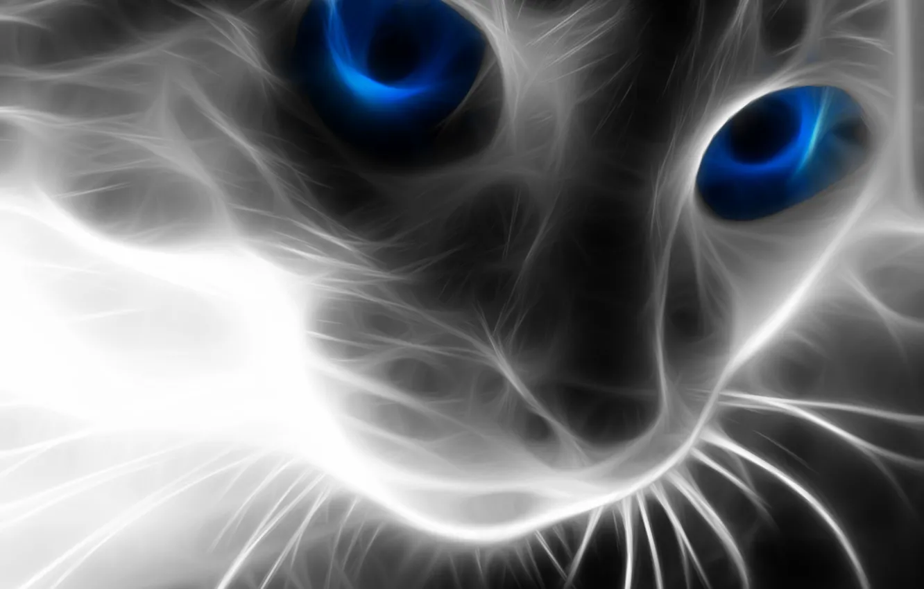 Photo wallpaper treatment, glow, Koshak