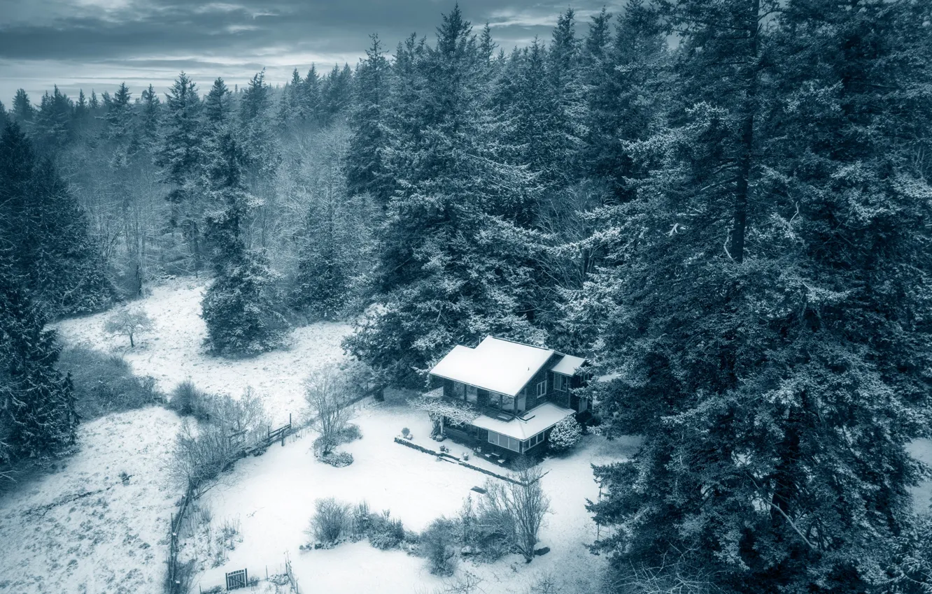 Photo wallpaper winter, forest, ate, house, the