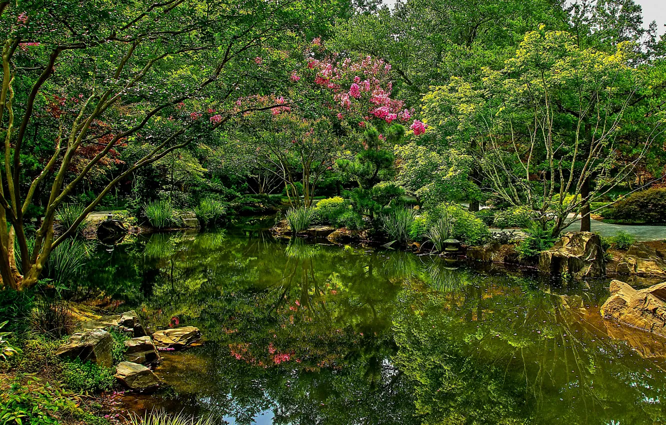 Photo wallpaper photo, Nature, Pond, The bushes, Park, USA, Gibbs Gardens