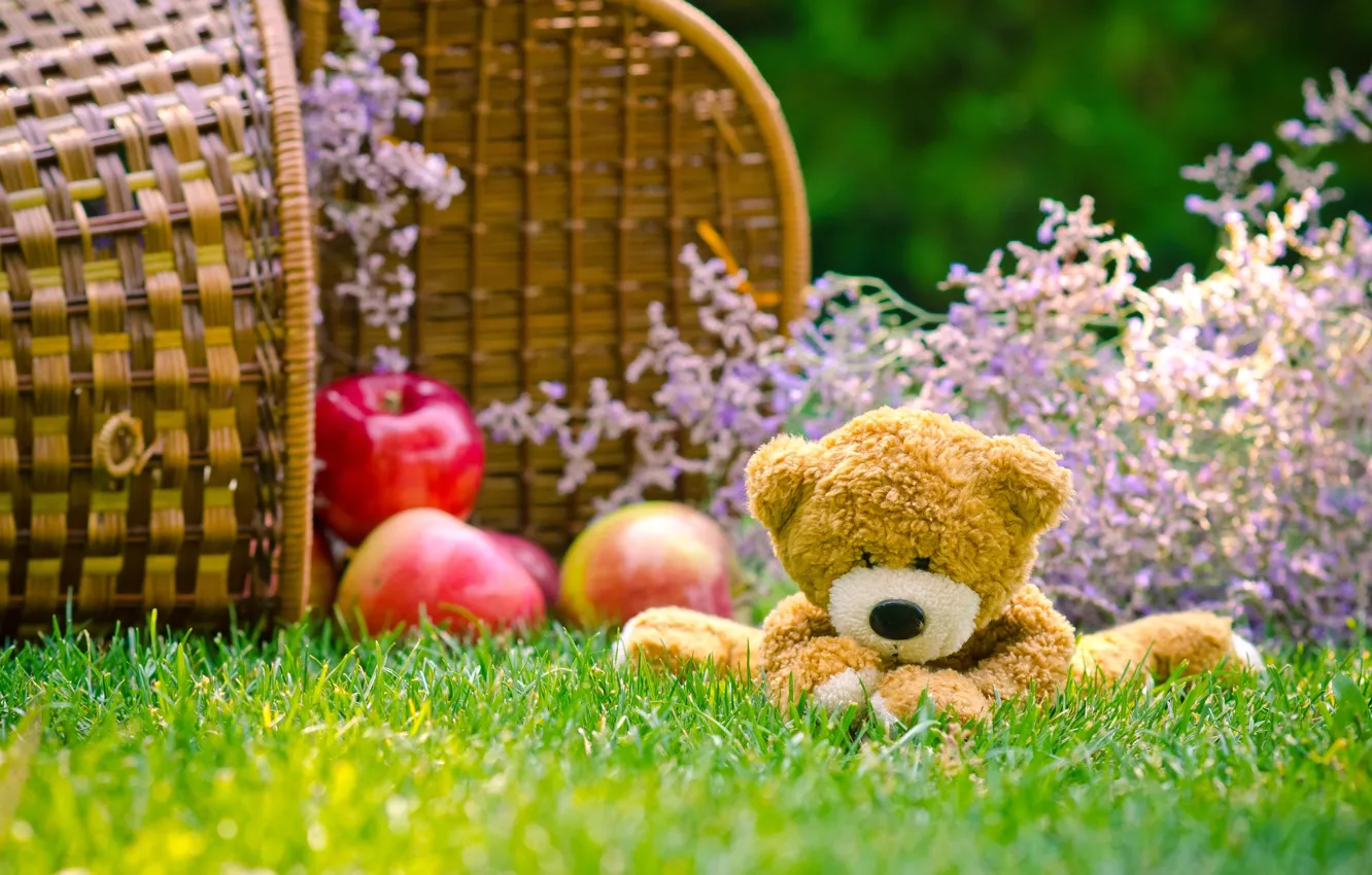 Photo wallpaper grass, basket, apples, toy, bear
