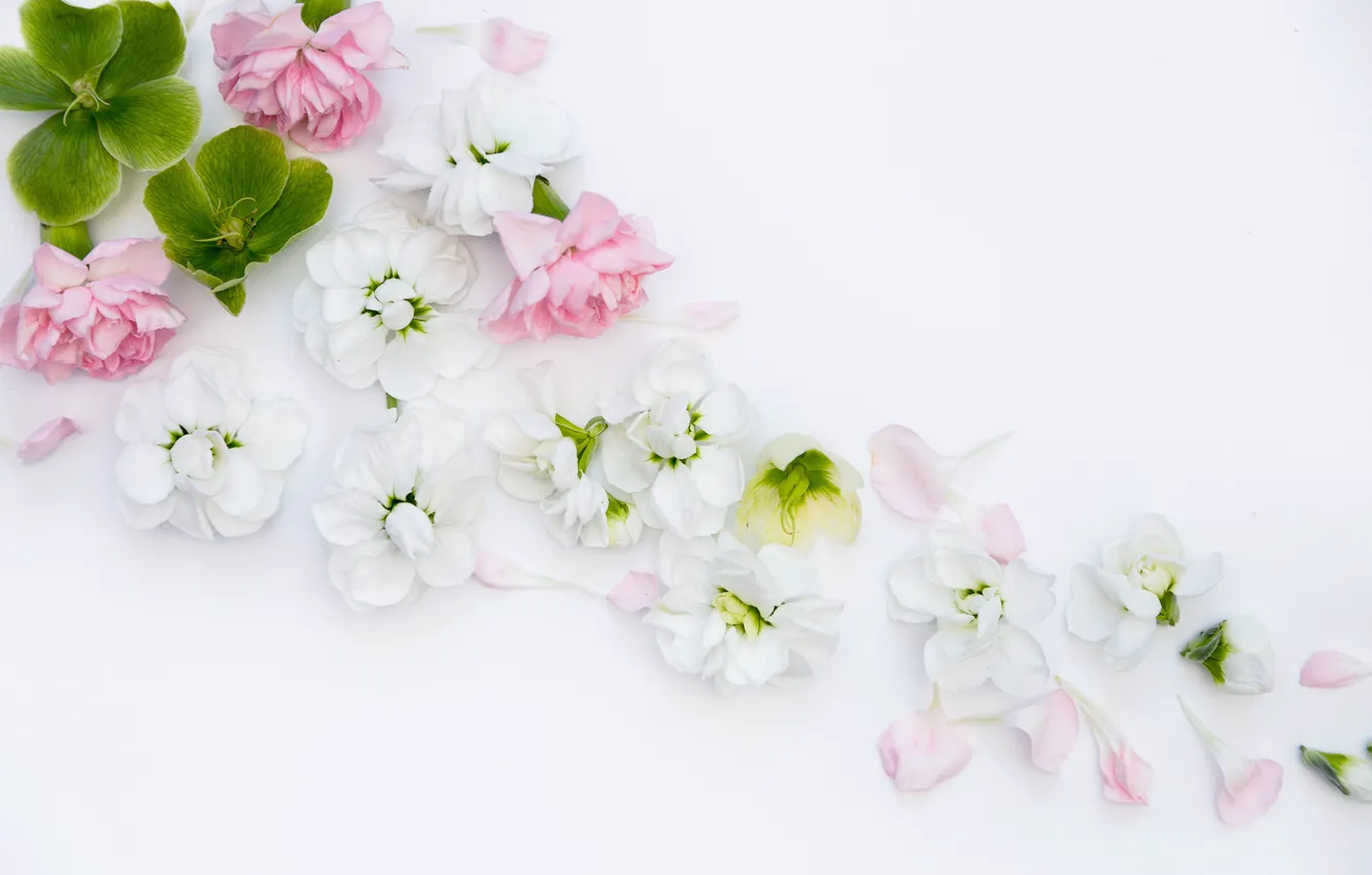 Photo wallpaper flowers, background, bouquet, frame, flowers, bundle