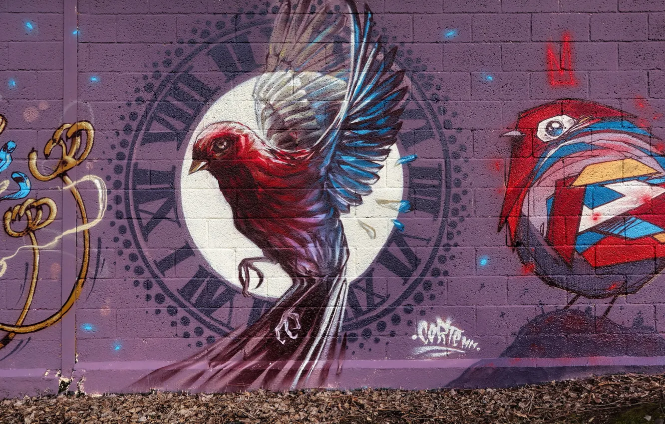 Photo wallpaper street, the fence, grafiti