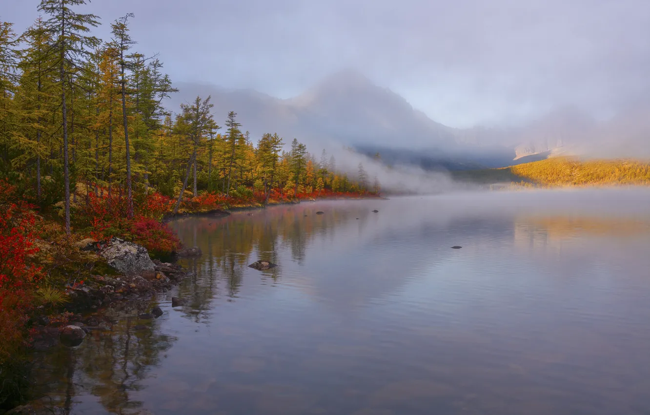 Photo wallpaper autumn, forest, landscape, mountains, nature, fog, shore, Vladimir Ryabkov