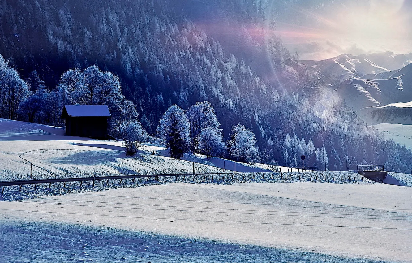 Photo wallpaper winter, the sun, snow, bright light