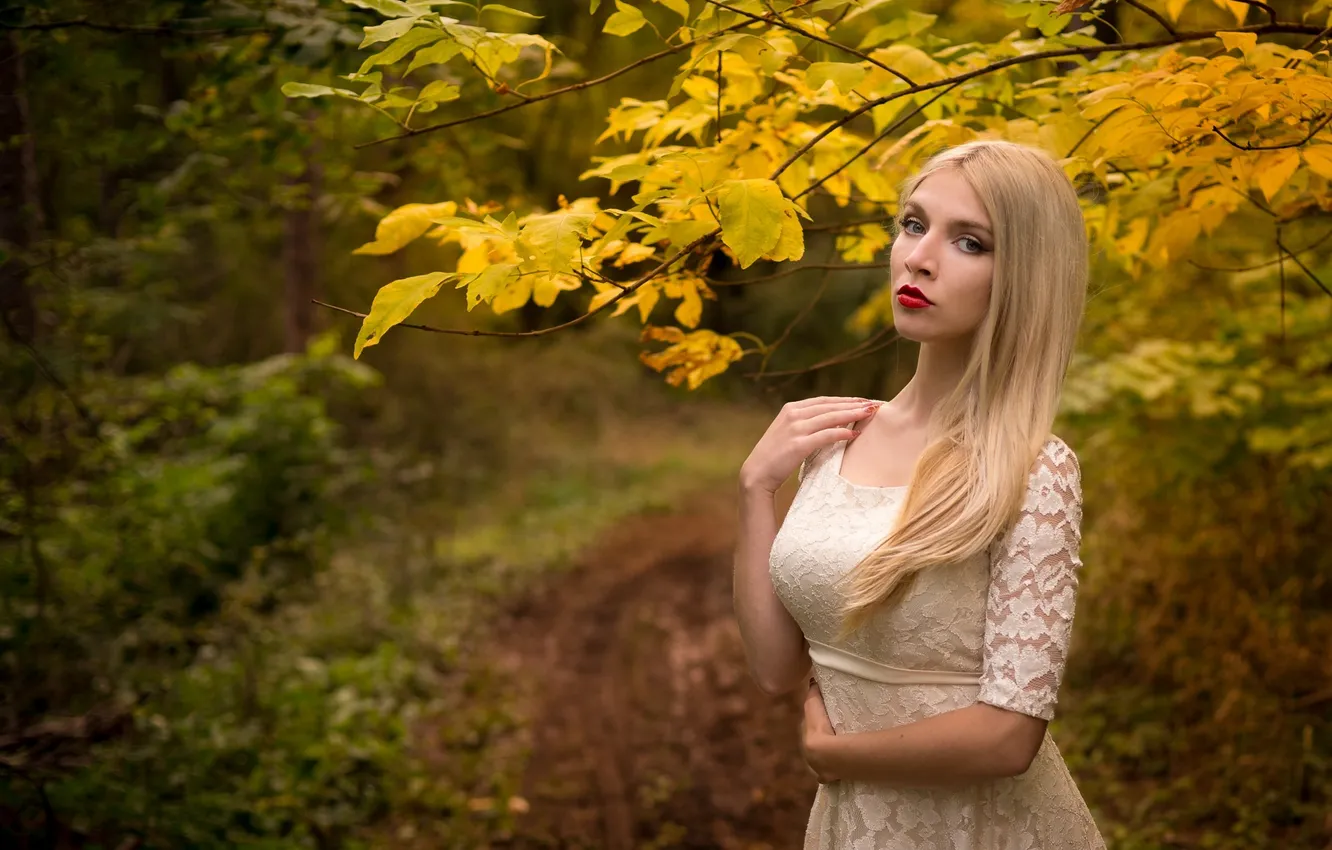 Photo wallpaper Girl, Beautiful, Model, Autumn, Dress, Leaves, Attractive, Boryana