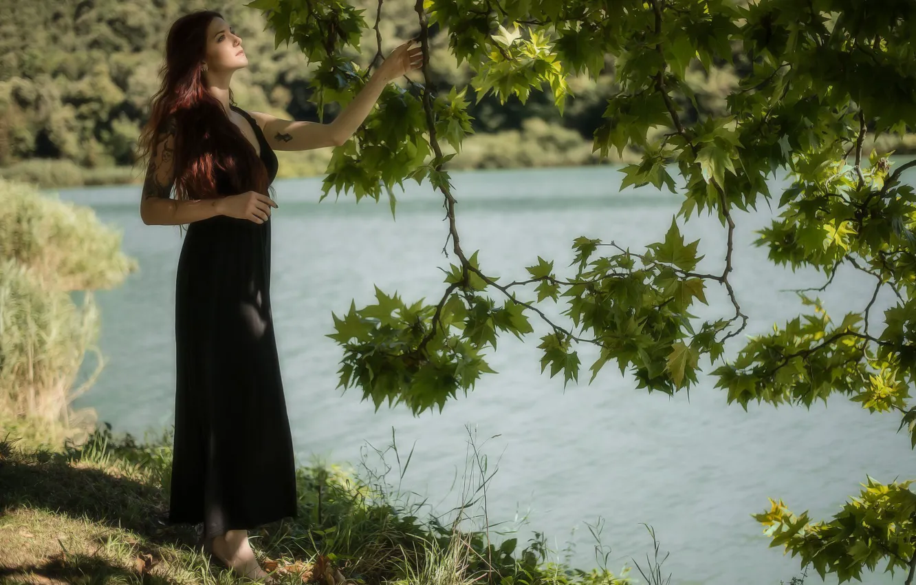 Photo wallpaper girl, trees, branch, dress