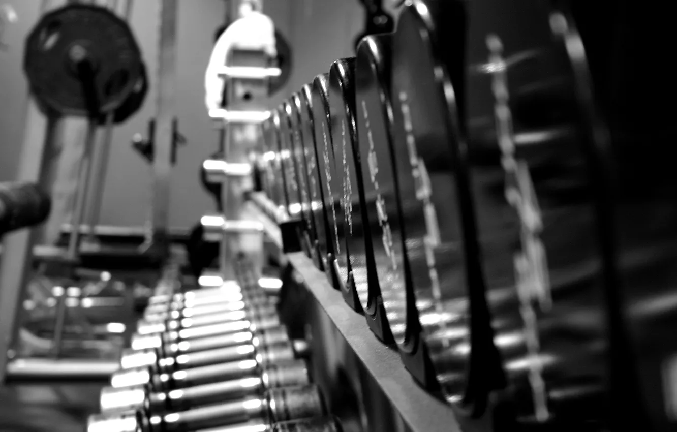 Photo wallpaper fitness, gym, dumbells