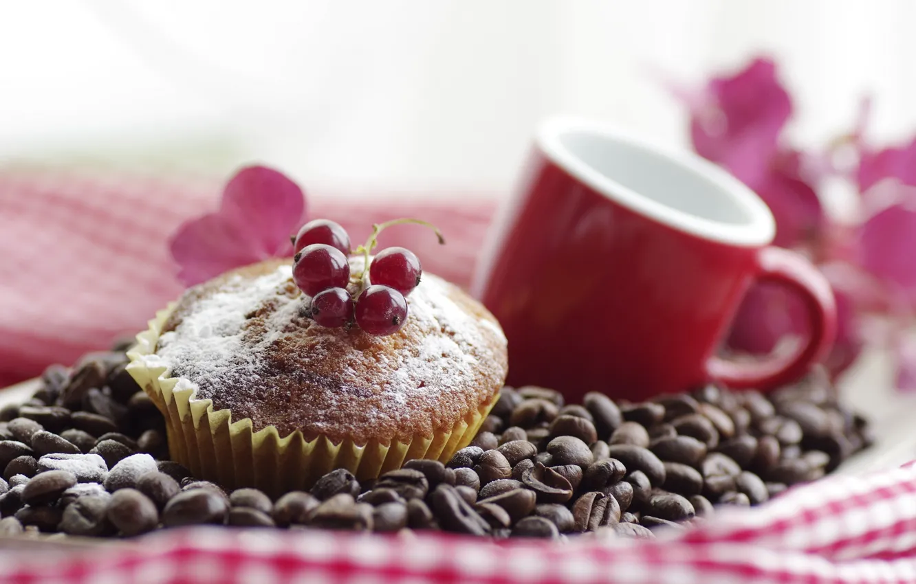 Photo wallpaper coffee, grain, Cup, cakes, cupcake, muffin