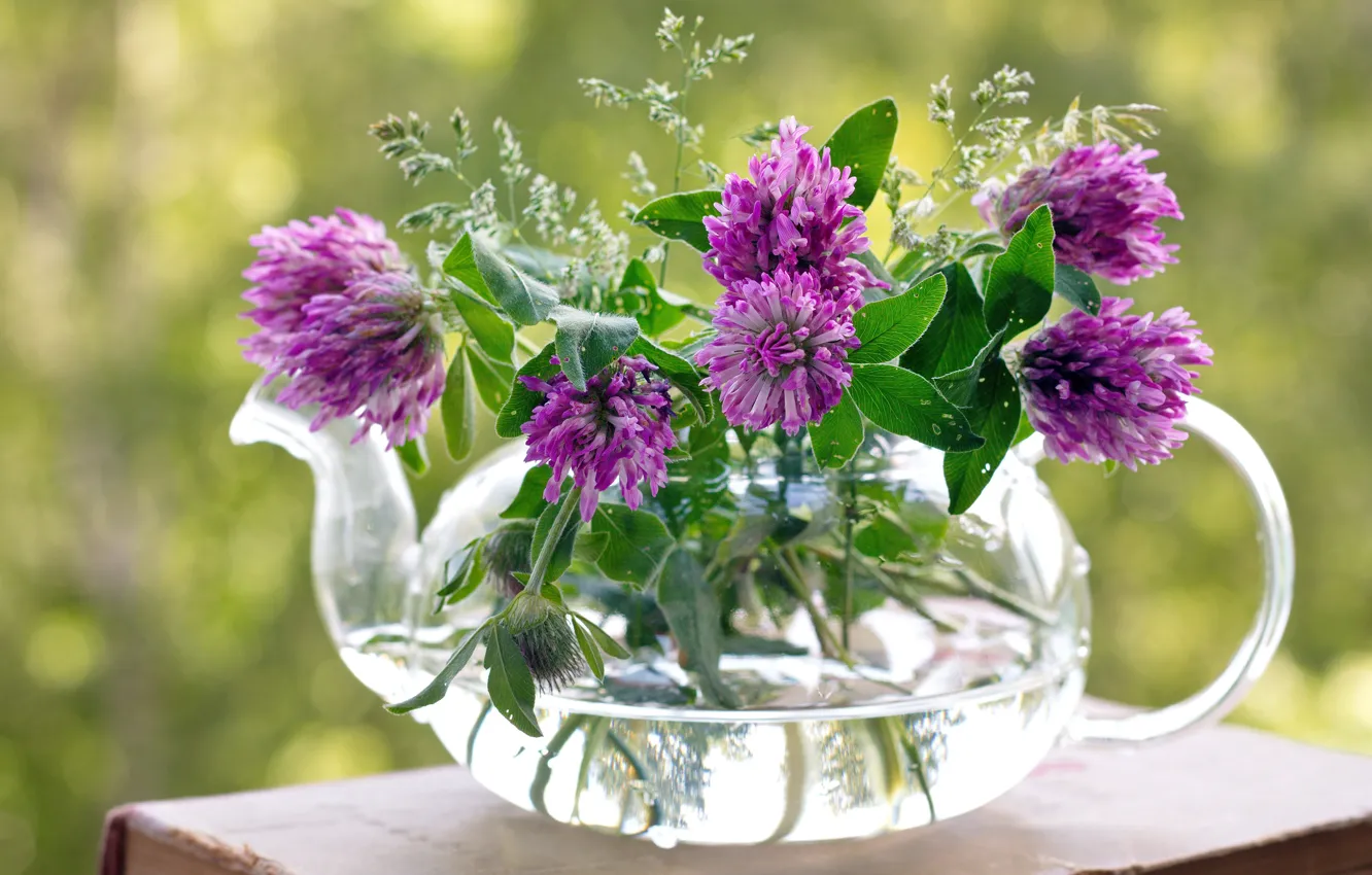 Photo wallpaper flowers, kettle, clover