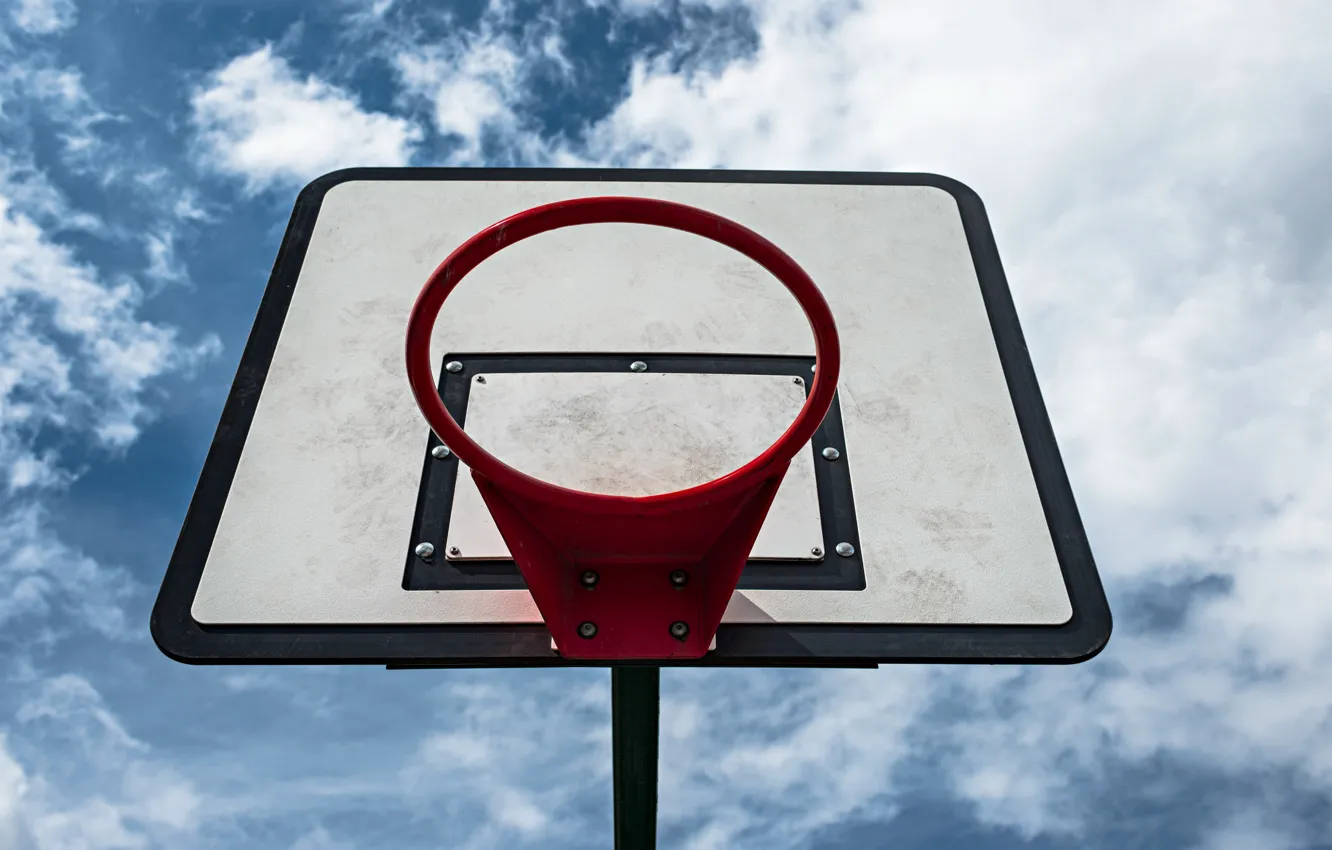 Photo wallpaper sport, ring, shield