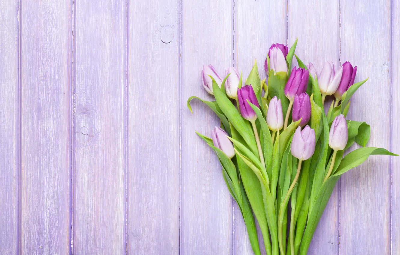 Photo wallpaper flowers, bouquet, tulips, wood, flowers, tulips, spring, purple
