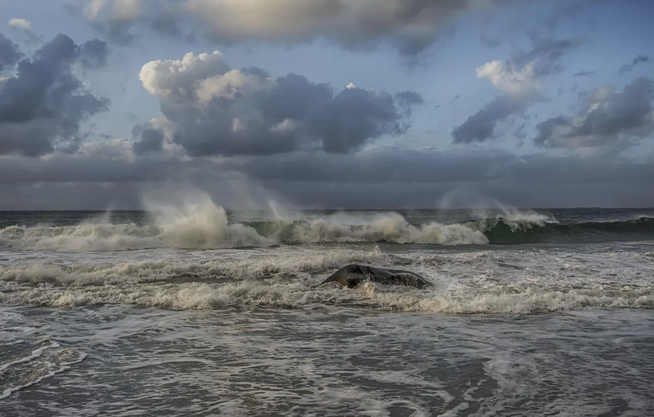 Photo wallpaper wave, clouds, storm