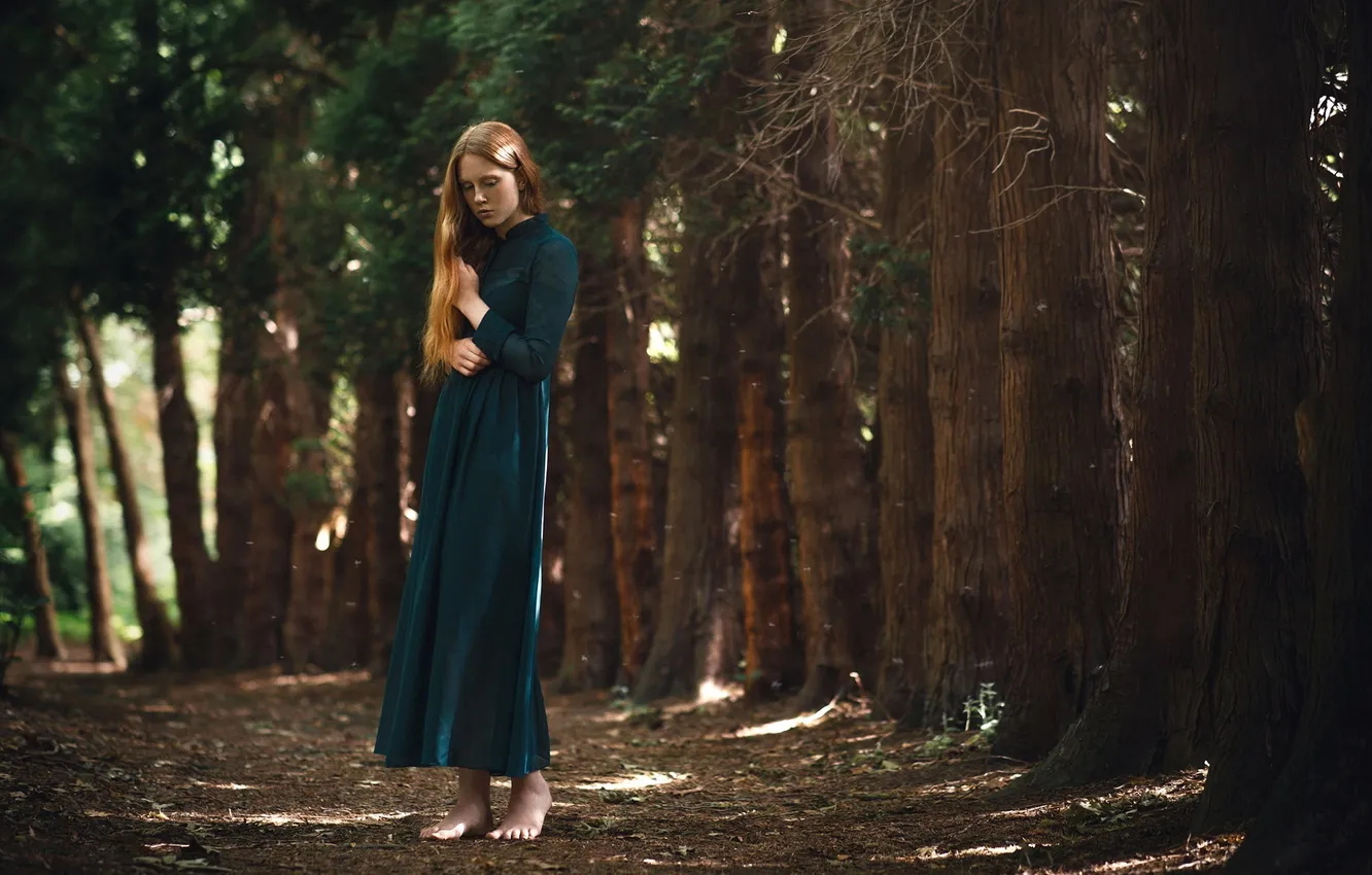 Photo wallpaper forest, girl, pose