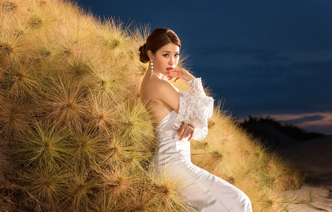 Photo wallpaper look, girl, dress, Asian