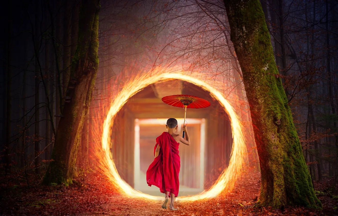 Photo wallpaper light, umbrella, the portal, autumn forest, Buddhist nuns