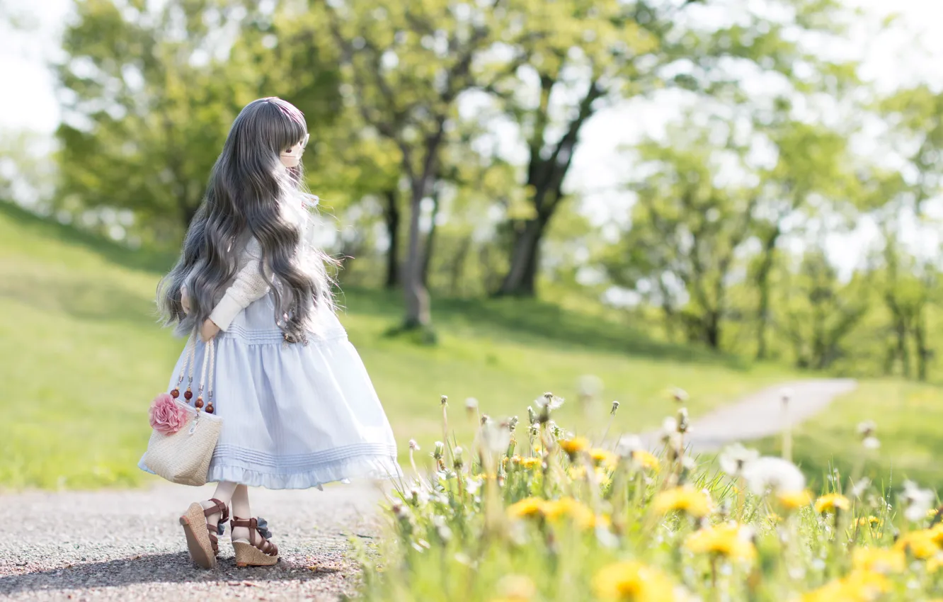 Photo wallpaper flowers, toy, spring, doll