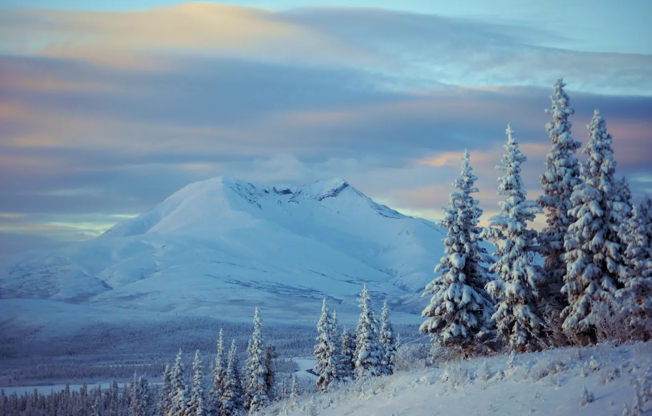 Photo wallpaper winter, snow, trees, mountains, ate, Alaska, Alaska