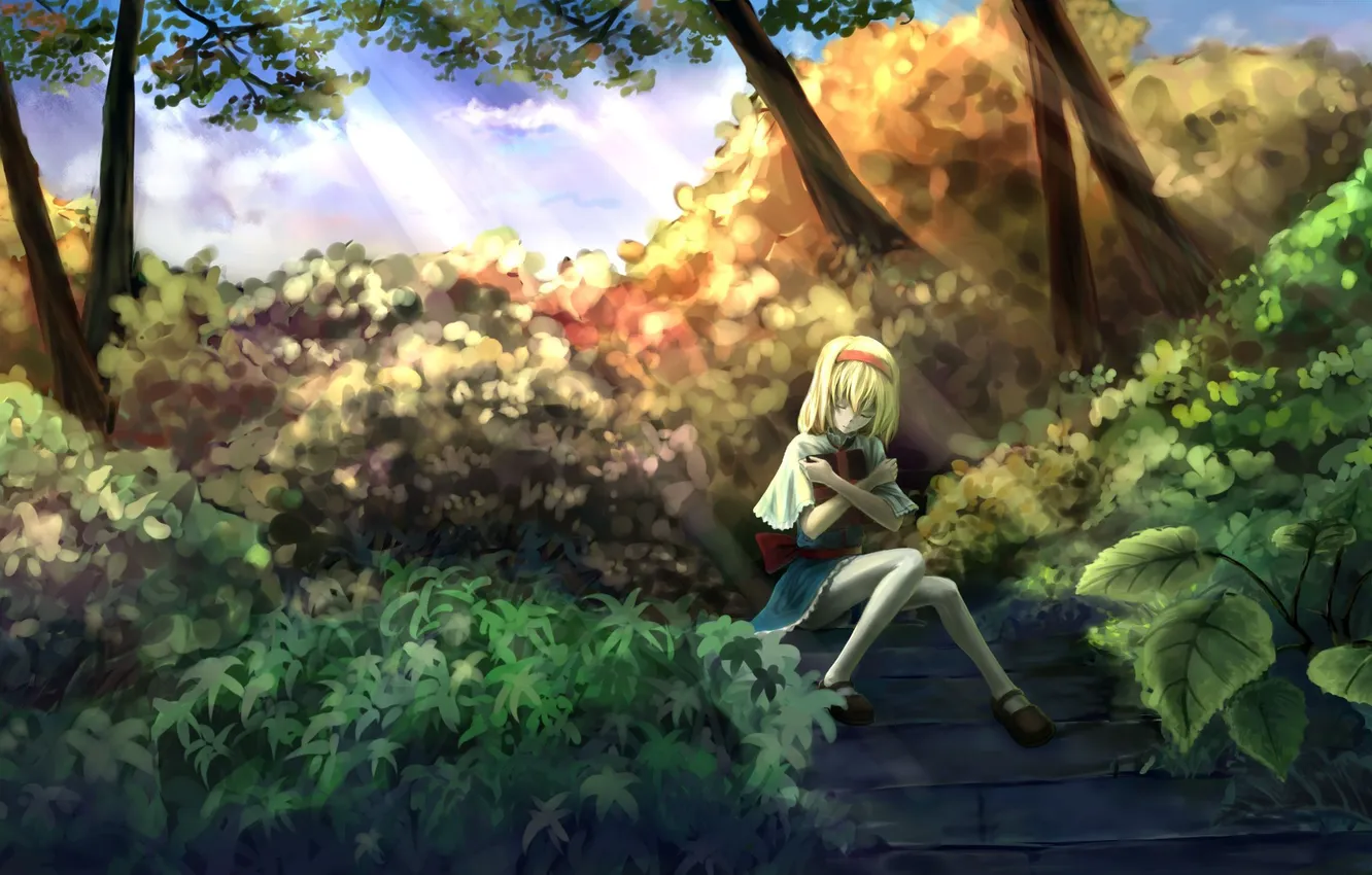 Photo wallpaper girl, gift, garden, stage, touhou, Alice Margatroid