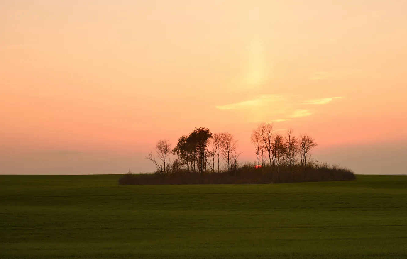 Photo wallpaper field, landscape, sunset