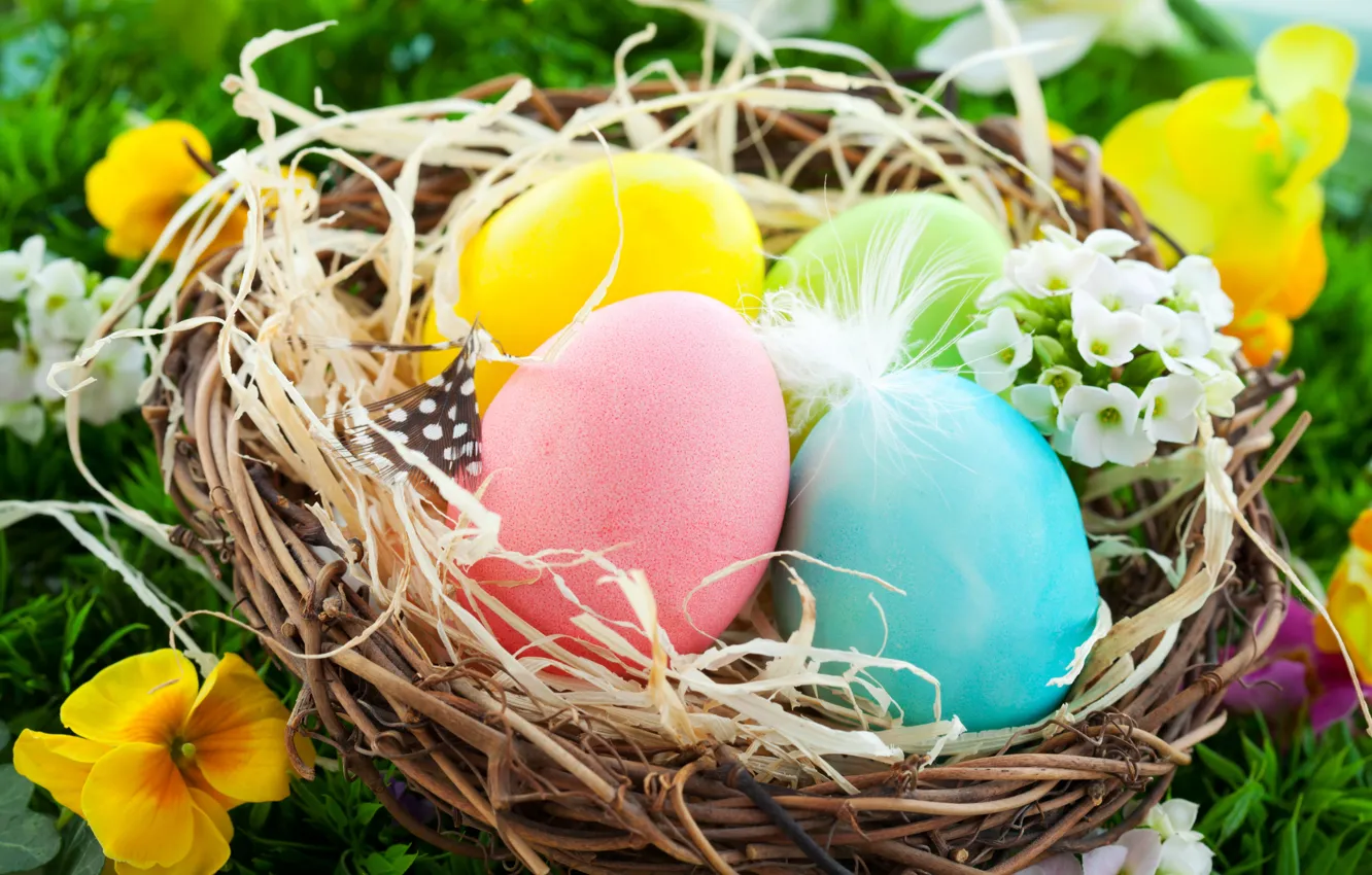 Photo wallpaper eggs, Easter, socket, flowers, spring, eggs, easter, basket