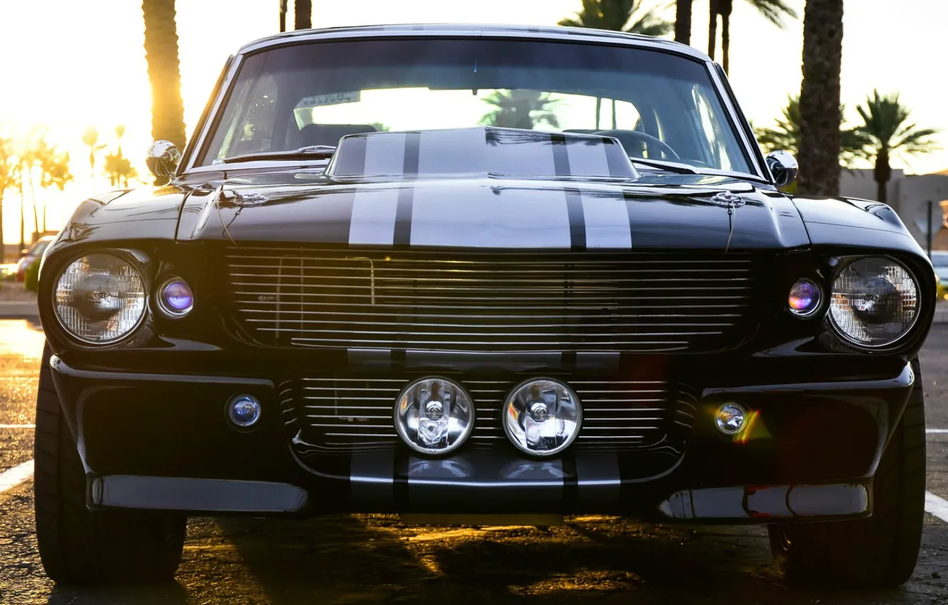 Photo wallpaper Mustang, Ford, Shelby, GT500, Black, Muscle car, Super Snake, American car
