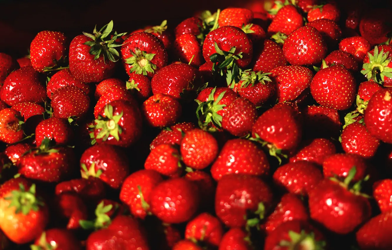 Photo wallpaper light, berries, the dark background, strawberry, red, a lot, ripe