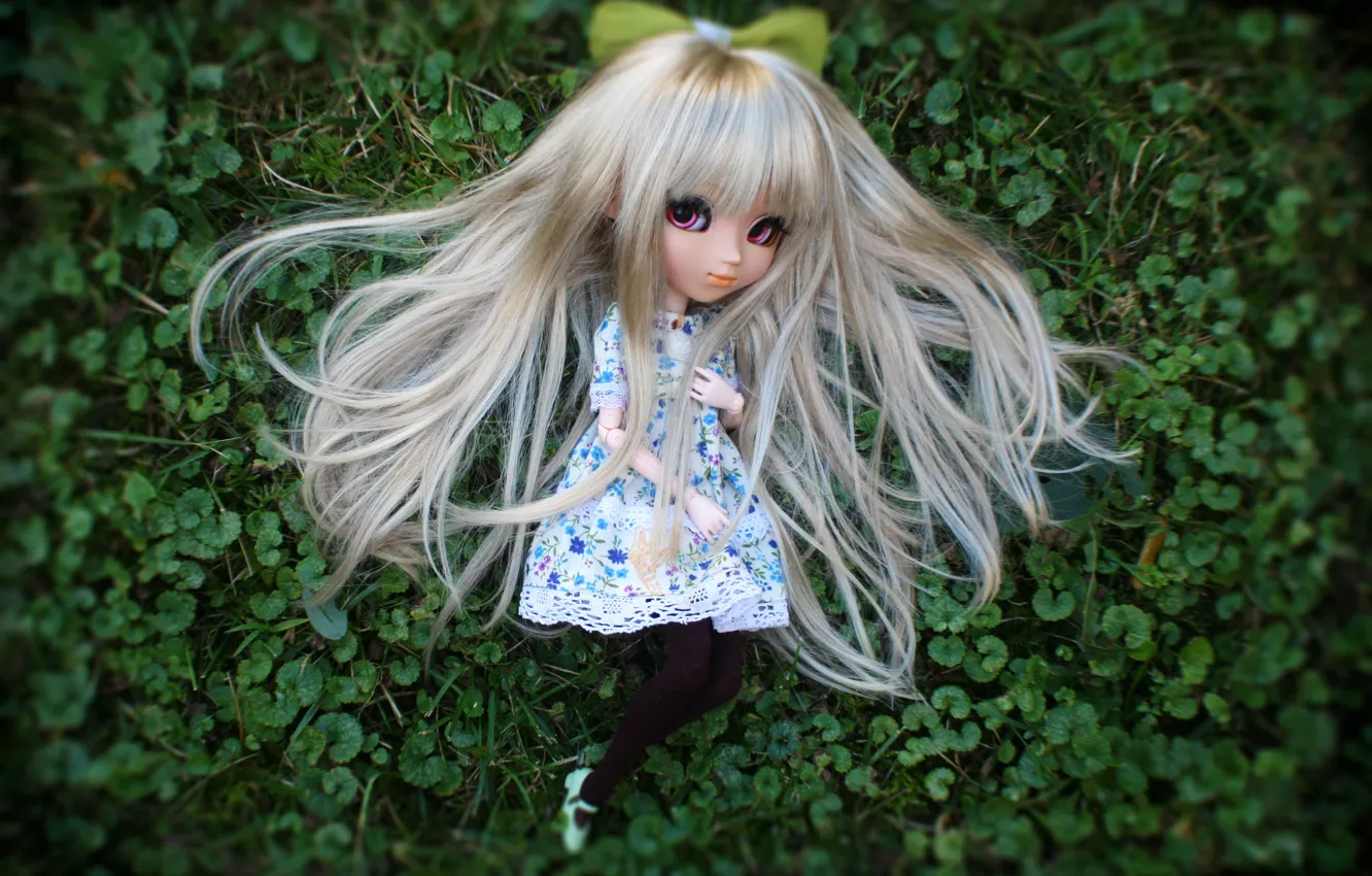 Photo wallpaper grass, doll, long hair