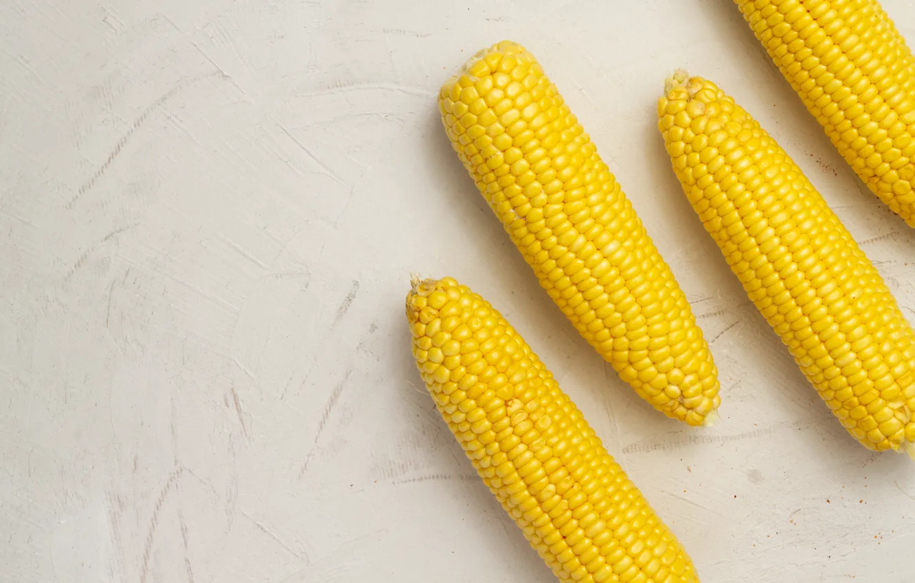 Photo wallpaper corn, white background, minimalism, shakes