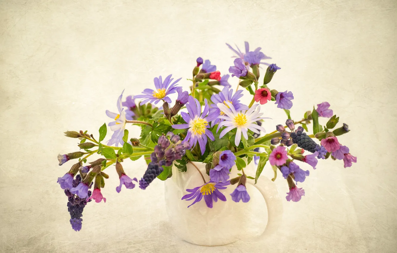 Photo wallpaper lilac, anemones, anemone
