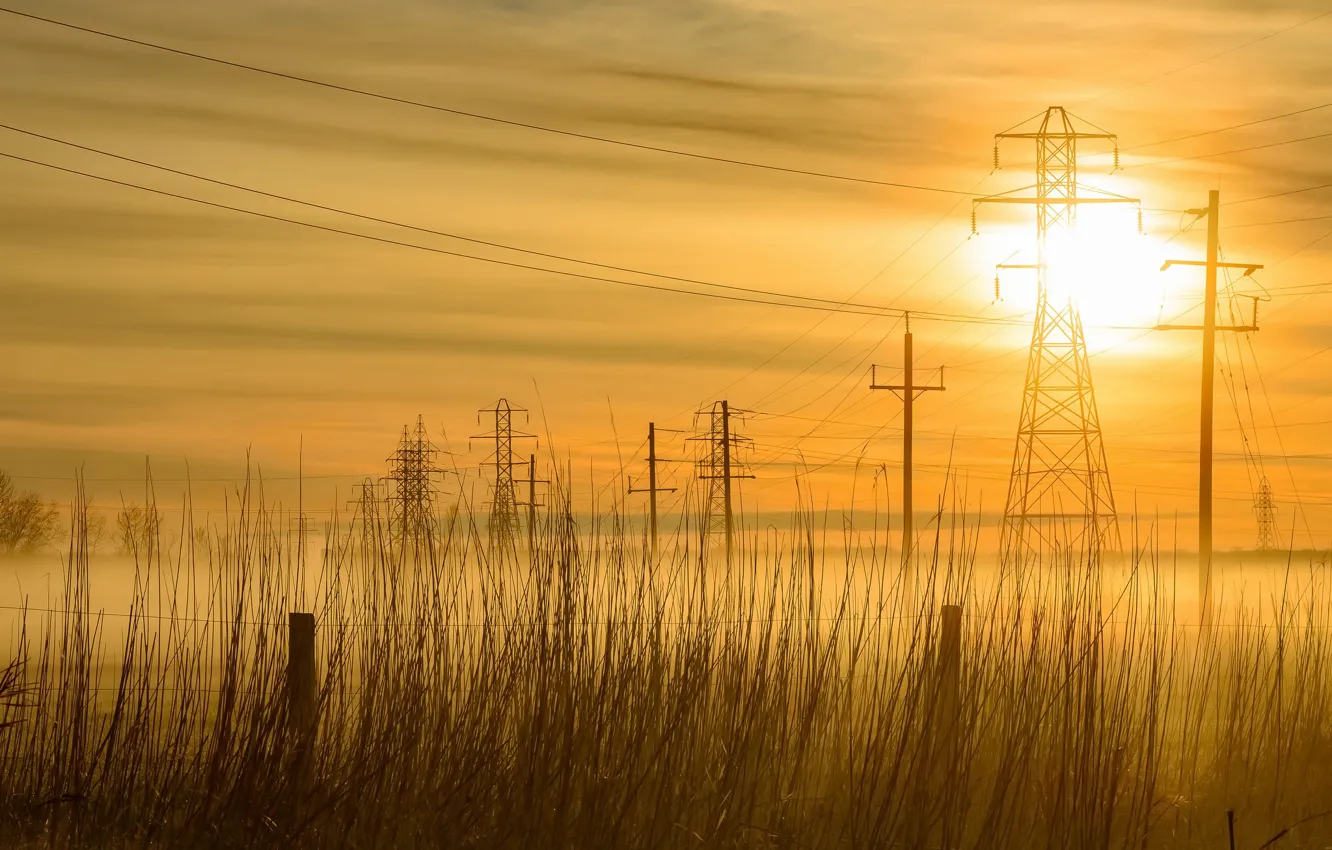 Photo wallpaper night, fog, power lines