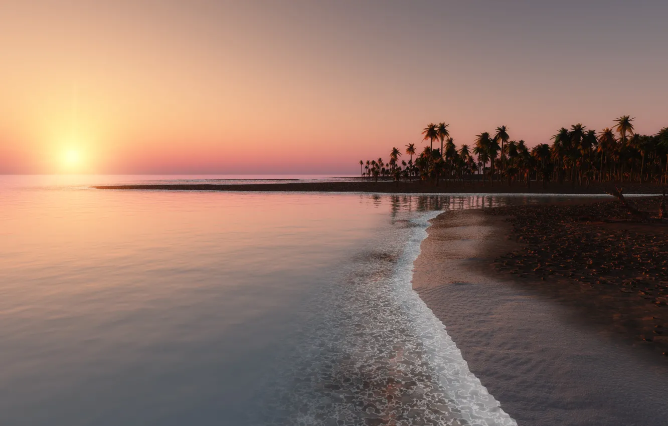 Photo wallpaper sunset, tropics, palm trees, the ocean, coast