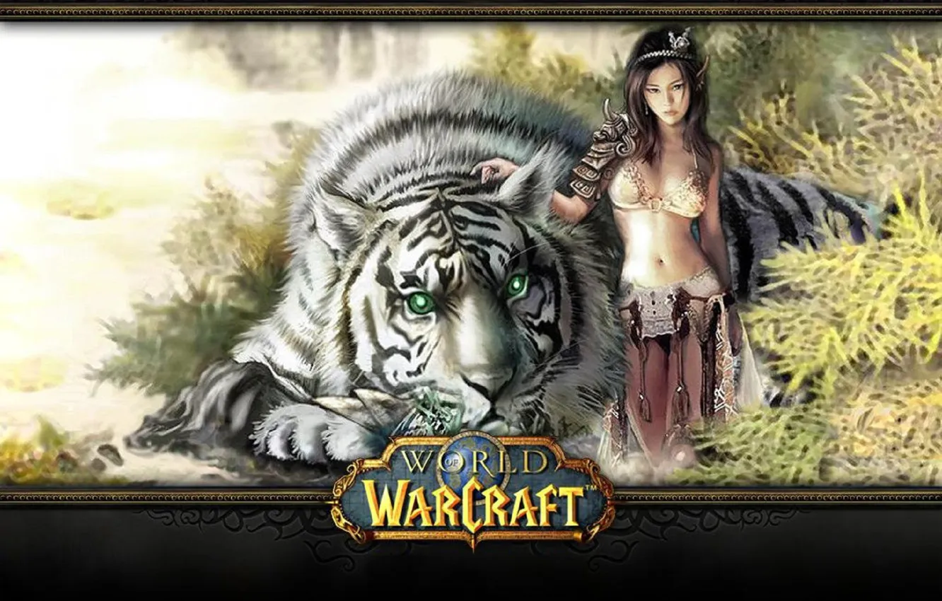 Photo wallpaper Games, wow, onlain