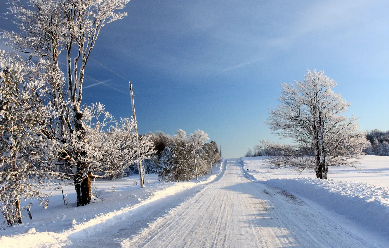 Photo wallpaper Nature, Winter, Road, Trees, Landscape