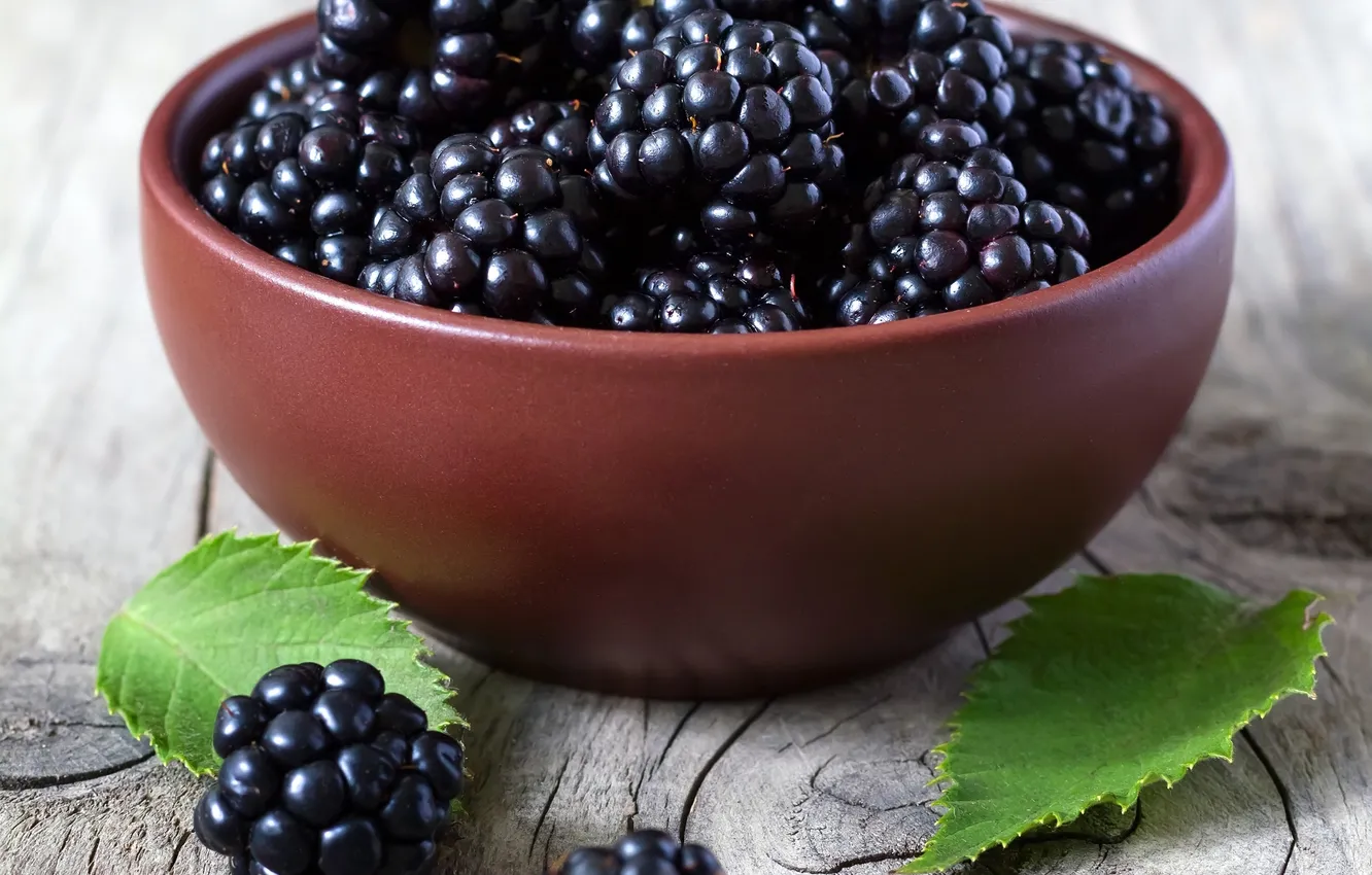 Photo wallpaper bowl, leaves, leaves, blackberries, bowl, BlackBerry, fresh berries, fresh berries