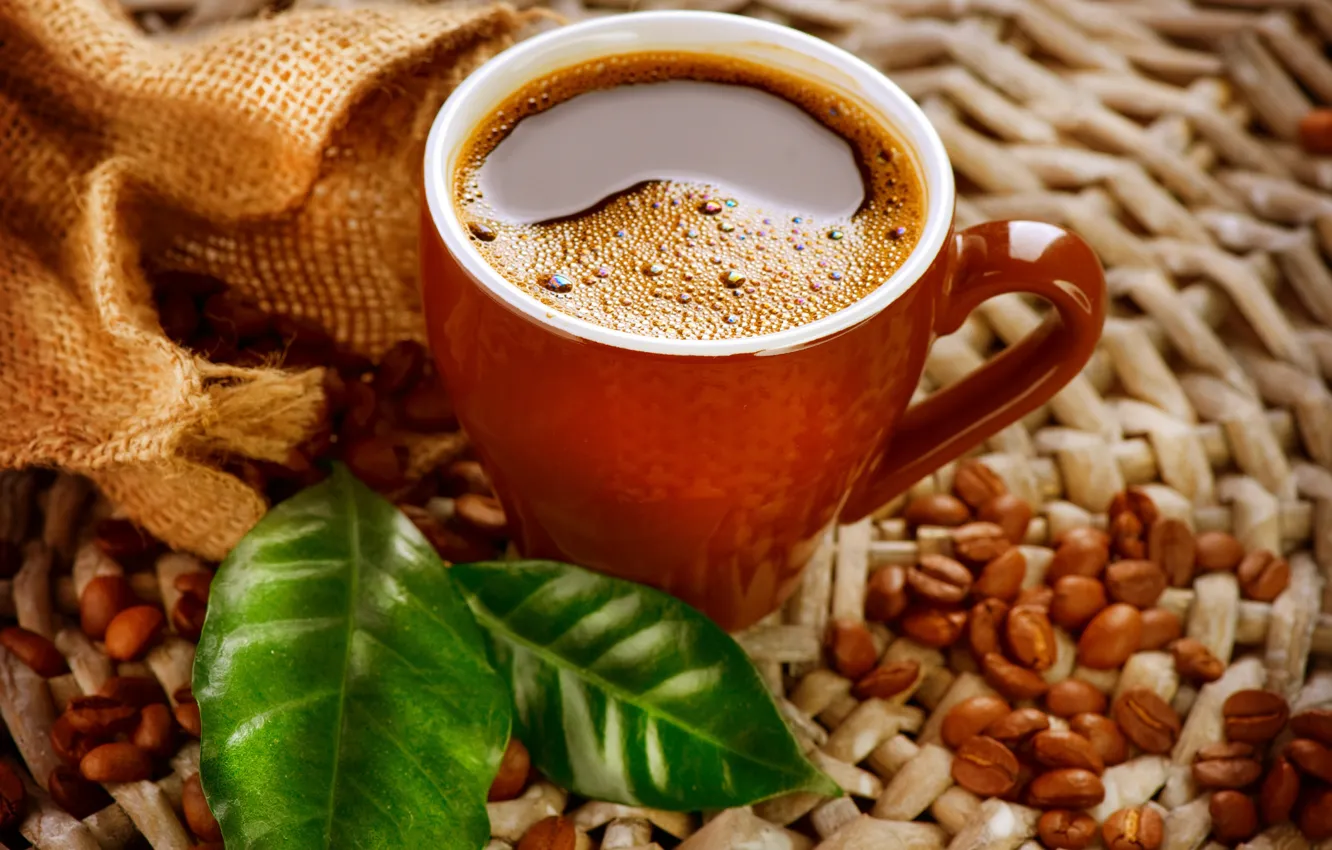 Photo wallpaper leaves, close-up, coffee, Cup, grain, bokeh