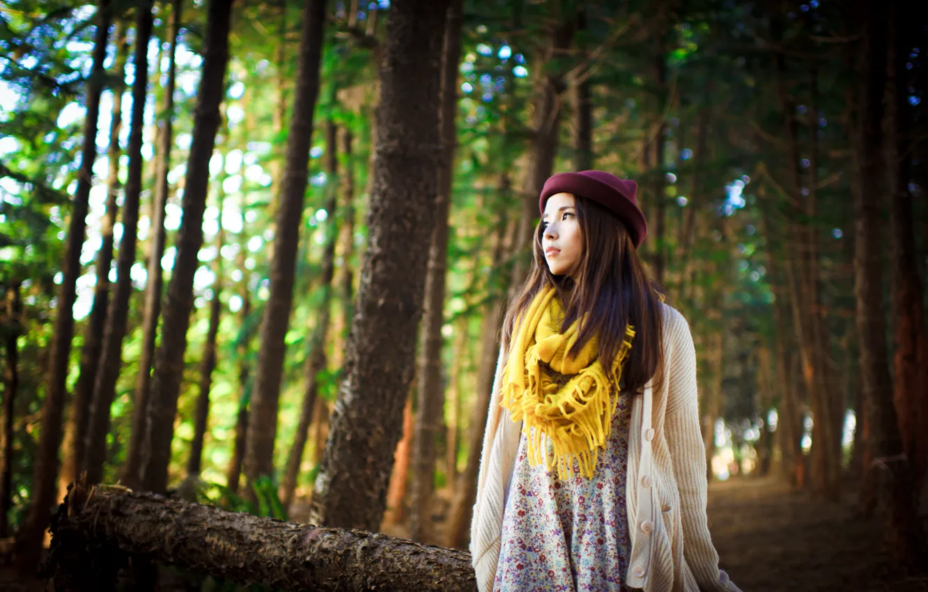 Photo wallpaper forest, girl, Asian