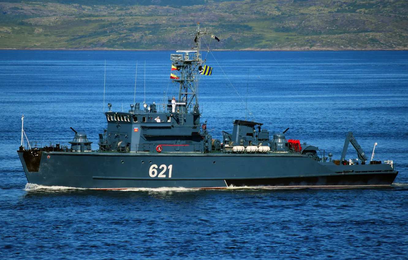 Photo wallpaper Kolomna, basic, minesweeper