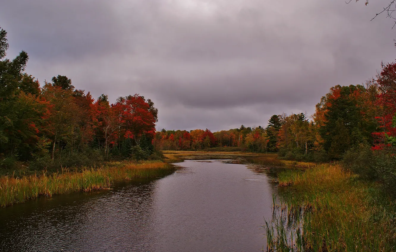 Photo wallpaper autumn, forest, the sky, trees, clouds, river