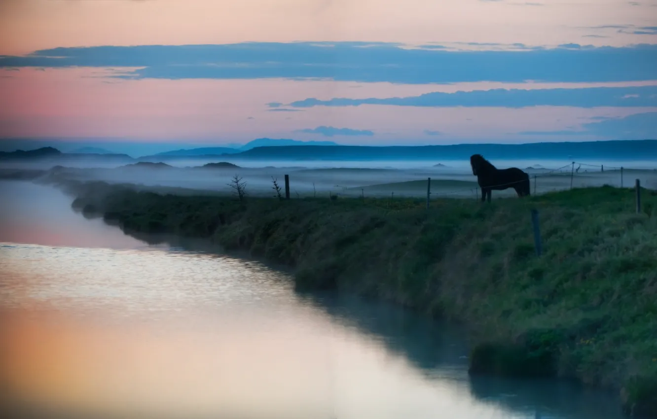Photo wallpaper animals, water, fog, lake, river, landscapes, horse, horse
