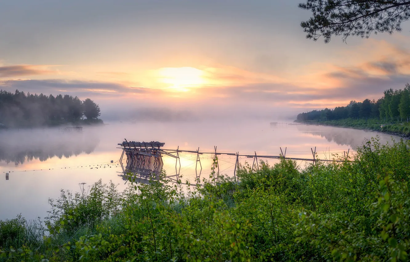 Photo wallpaper fog, morning, river