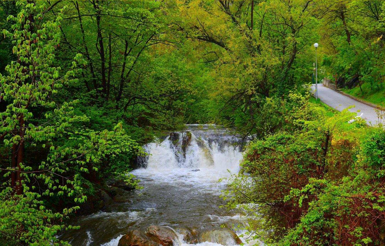 Photo wallpaper Stream, Road, Spring, Waterfall, Forest, Nature, River, Spring