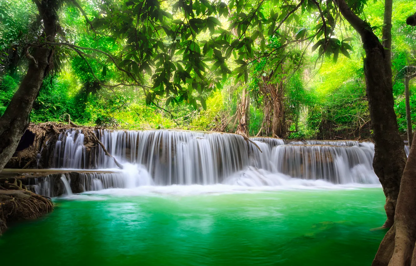 Photo wallpaper waterfall, forest, river, water, waterfall, flow, emerald