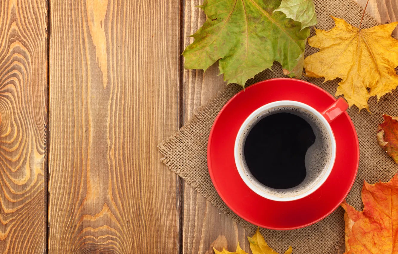 Photo wallpaper autumn, coffee, Cup, maple, autumn, leaves, cup, coffee