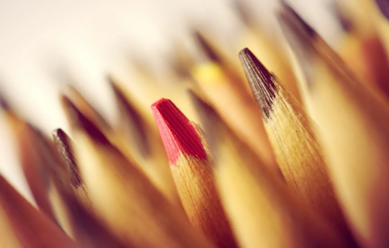 Photo wallpaper macro, background, pencils
